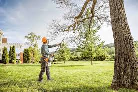 Seasonal Cleanup (Spring/Fall) in Mustang Ridge, TX